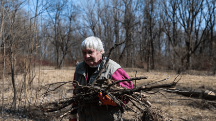 Можно ли "укоротить" ветки соседского дерева, которые лезут за забор - 285x160