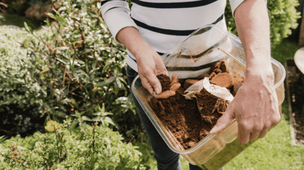Вмить врятує ваш урожай — чим кавова гуща корисна на городі - 285x160