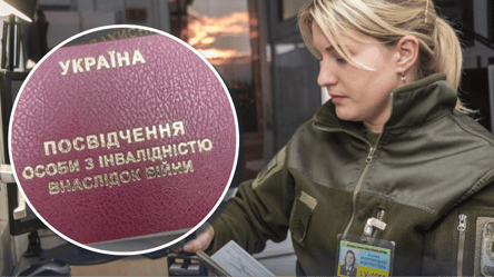 Инвалидность и непригодность — документ для выезда за границу - 290x166