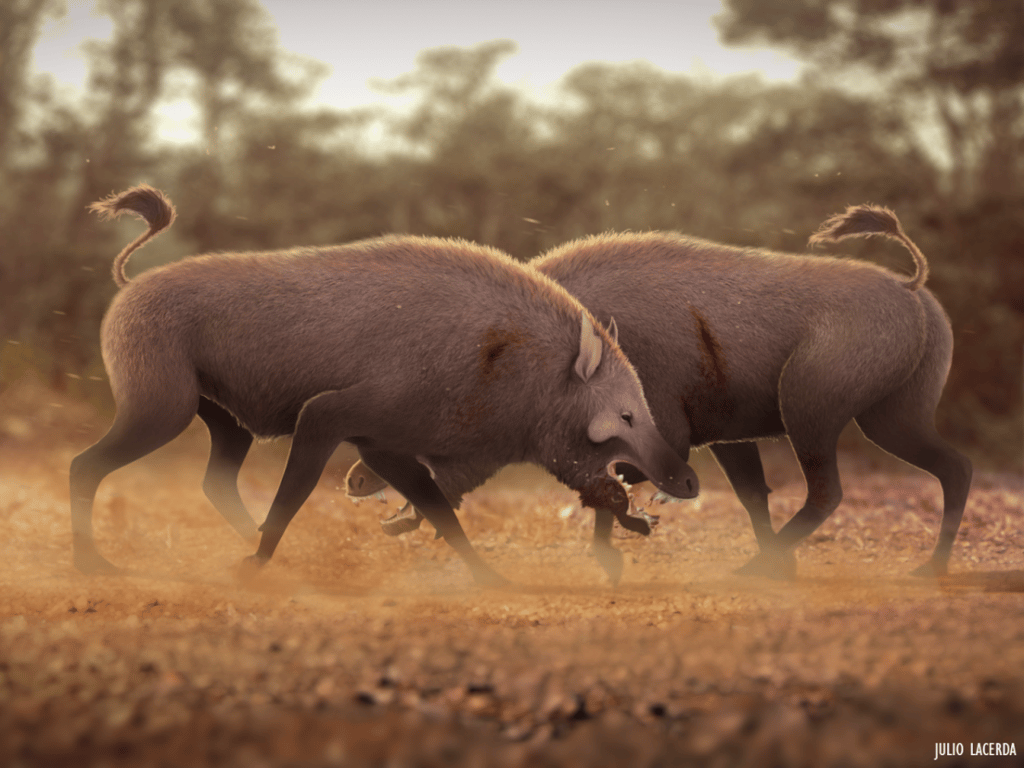 Що відомо про пекельних свиней, які зникли мільйони років тому