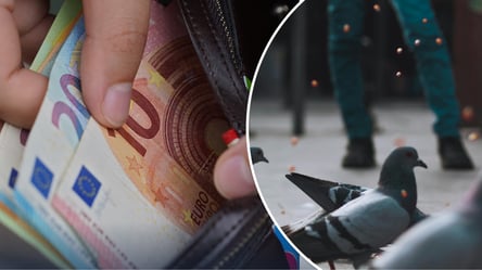 Не діліться їжею з птахами в Німеччині — який штраф загрожує у 2026 році - 285x160