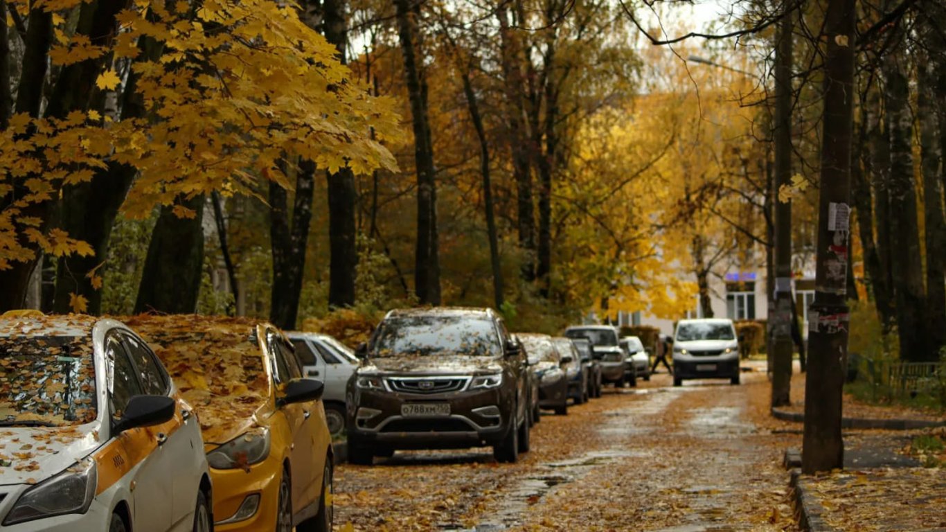 Шість способів, як осіннє листя може нашкодити автомобілю — будьте уважні