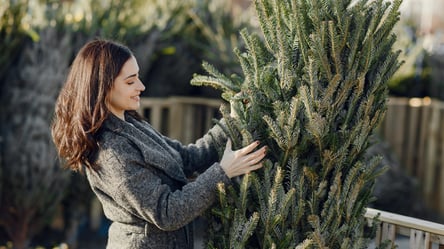 Идеальная искусственная елка — правила выбора перед покупкой - 285x160