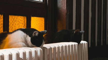 Новый отопительный сезон — к чему готовиться и что будет с газом - 285x160