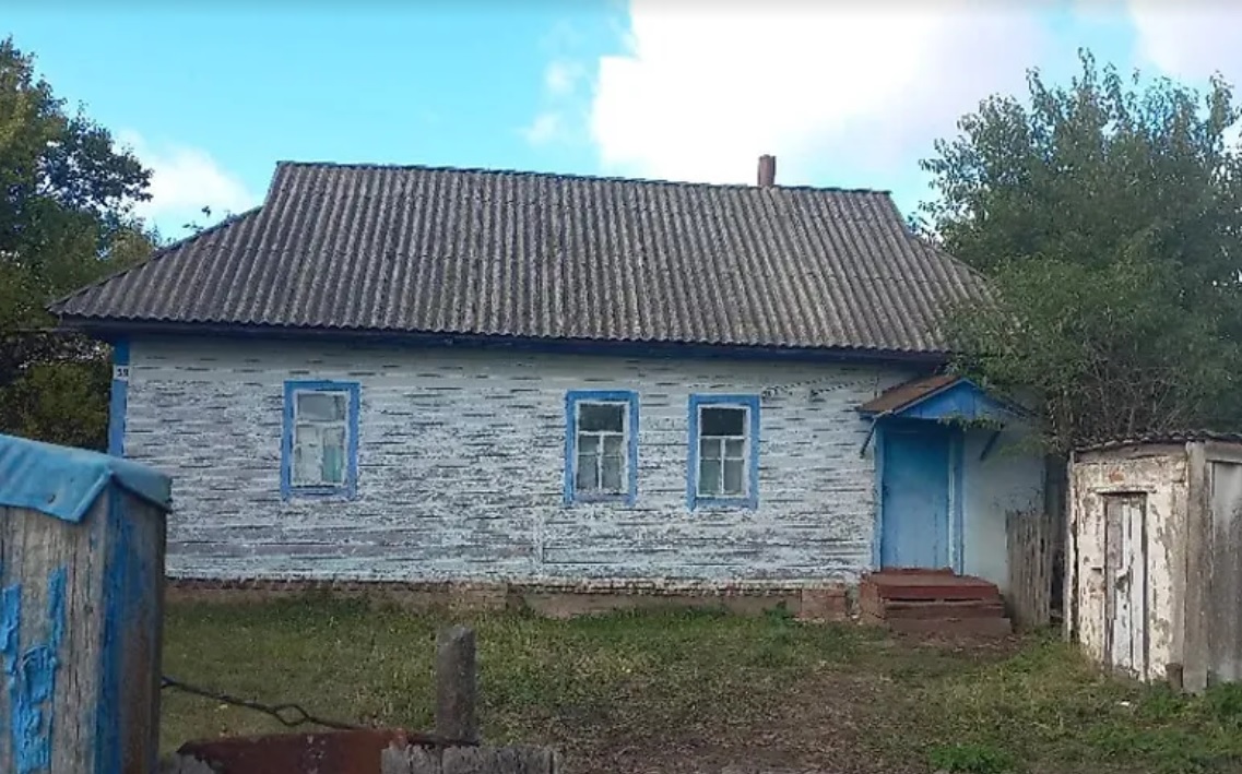 Який вигляд має дім в Україні, який продають лише за 1 000 доларів (фото) - фото 1