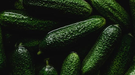 Обов'язково додайте в раціон огірки: 8 причин, чому цей фрукт є справжнім скарбом - 285x160