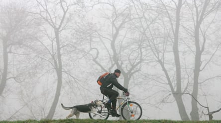 Температурні контрасти — синоптики розкрили погоду на завтра - 290x166