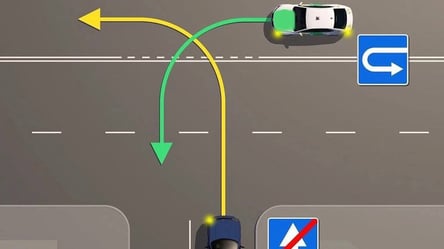 Хитрий тест ПДР — хто порушує правила - 290x160