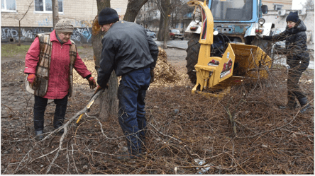 Гілки сусідського дерева зайшли за паркан — чи можна обрізати - 285x160