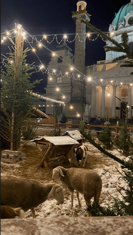 Впечатляющая атмосфера рождественских ярмарок Вены — фоторепортаж - фото 4