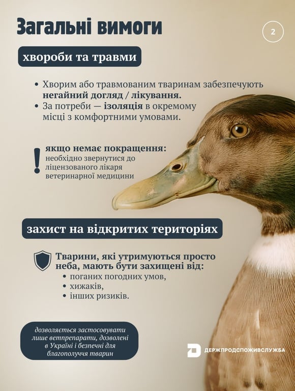 Нові правила утримання тварин