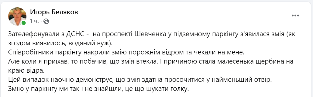 Накрыли ведром, а она сбежала - в Одессе ищут змею - фото 1