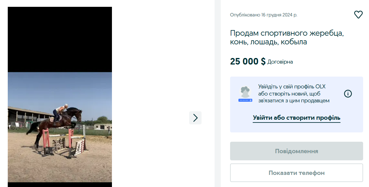 Не всем по карману — сколько стоят животные элитных пород на OLX - фото 3