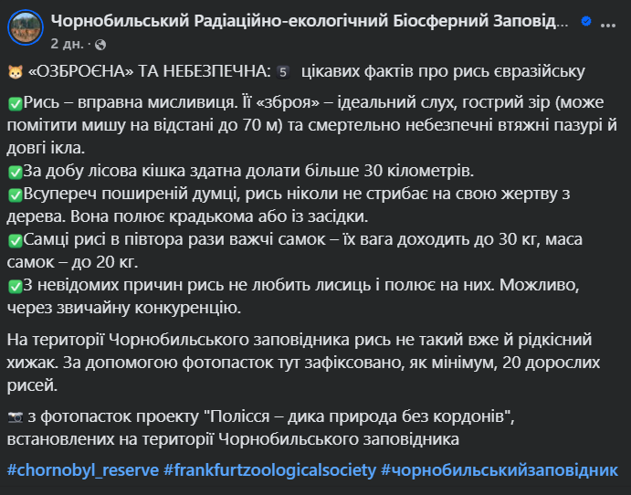 В Чернобыле заметили опасную охотницу из лесов - фото 1