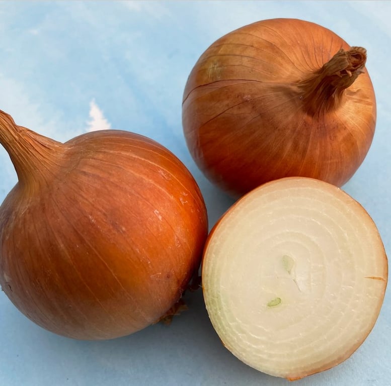 Навіщо майстри з ремонту взуття радять натирати шкіряні туфлі цибулиною - фото 1