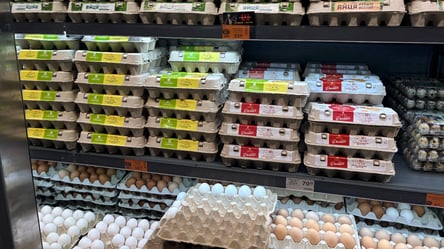 Старых цен больше нет — сколько стоят яйца и где найти дешевле - 285x160
