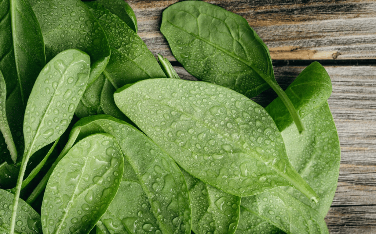 Spinach should be eaten more often for the benefit of our skin