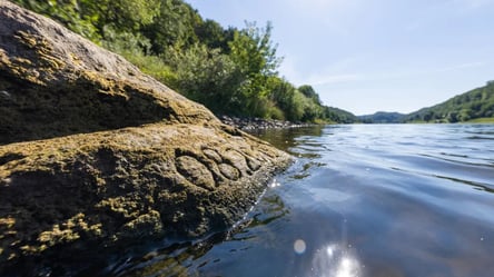 Тривала посуха в Німеччині: з-під води показалися "камені голоду" - 290x166