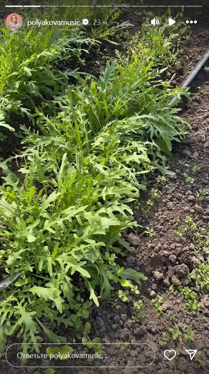 Зелень Полякової