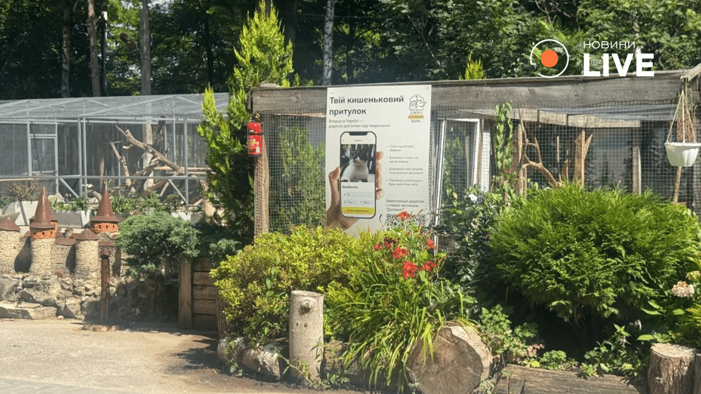 Притулок для тварин у Львові