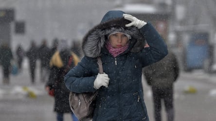 Кто из украинцев может претендовать на гражданство Польши в 2026 - 285x160