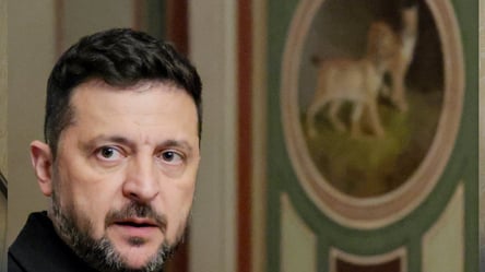 Україна запускає Карпатську ініціативу восени: Зеленський розповів про її мету - 304x171