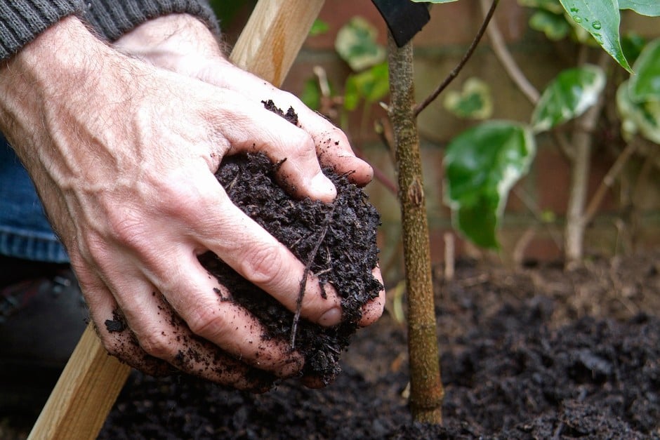 Какое простое и доступное удобрение использовать осенью для малины