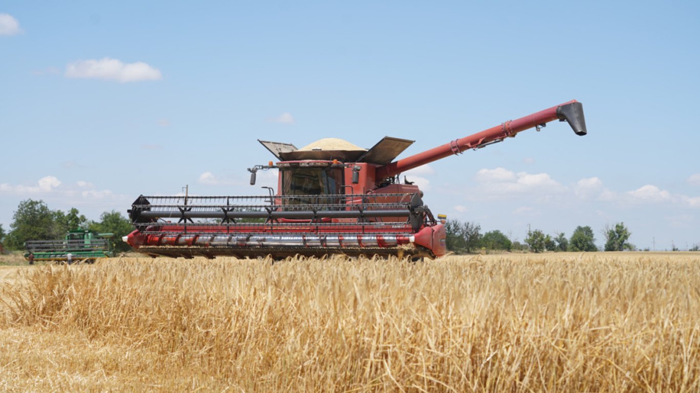 Цены на зерновые в Украине на 3 июля 2024 года