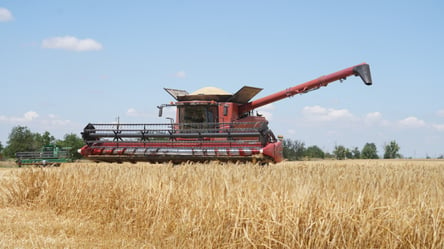 В Украине нестабильные цены на ячмень — сколько стоят зерновые в июле - 285x160
