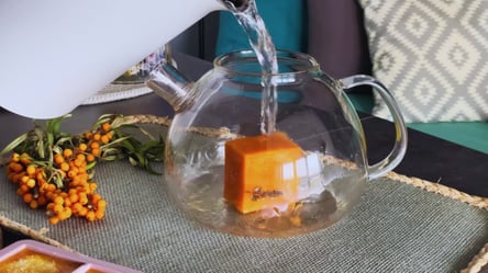 Чай з обліпихи в кубиках — смачний напій для імунітету - 285x160