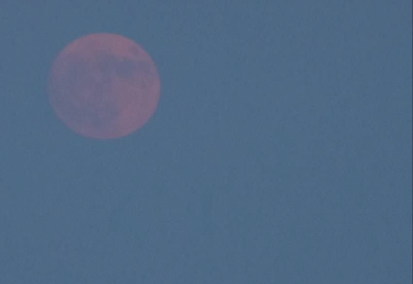 "Полунична" повня над Одесою в ніч проти 11 червня 2025 року