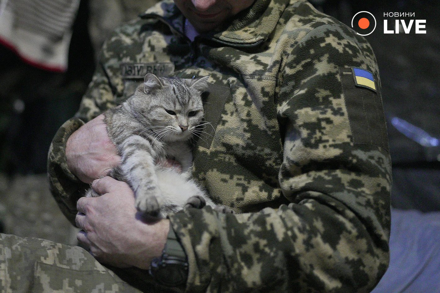 тварини на фронті