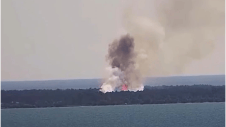 В ВМС показали, как эффектно уничтожают оккупантов с помощью FPV-дронов - 290x166