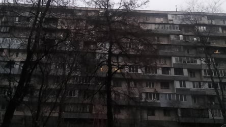 Деревья во дворе многоэтажек — кому принадлежат по закону - 285x160