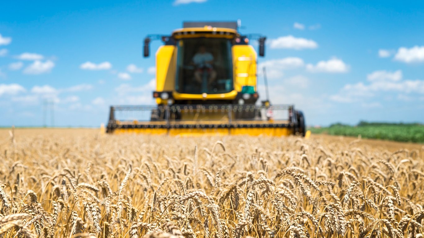 Цены на зерновые в Украине по состоянию на 16 ноября 2023 года