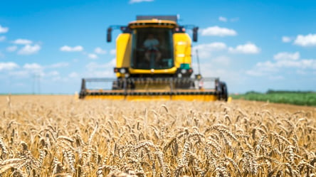 Цены на зерно в Украине — сколько стоит ячмень в ноябре - 285x160