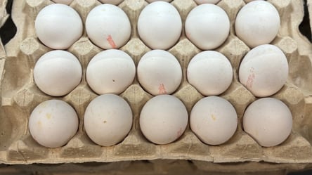 В Украине обновили цены на яйца — какая минимальная стоимость - 285x160