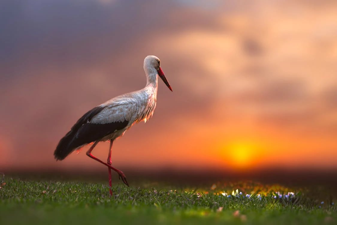 Народні прикмети на 31 серпня