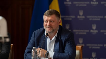 В Раде объяснили особенности работы над законопроектом о СОЧ - 285x160