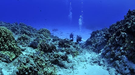 Самое глубокое место планеты — что прячет и как образовалось - 285x160