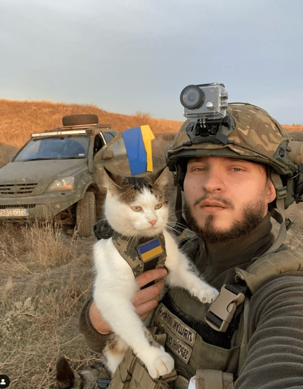 Бойовий кіт Шайба відвідав Львів для участі в благодійних заходах - фото 3