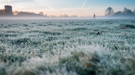 Загублені документи на землю — коли право власності буде втрачено - 285x160