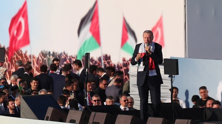 Эрдоган собрал миллионный митинг и угрожает признать Израиль военным преступником - 285x160