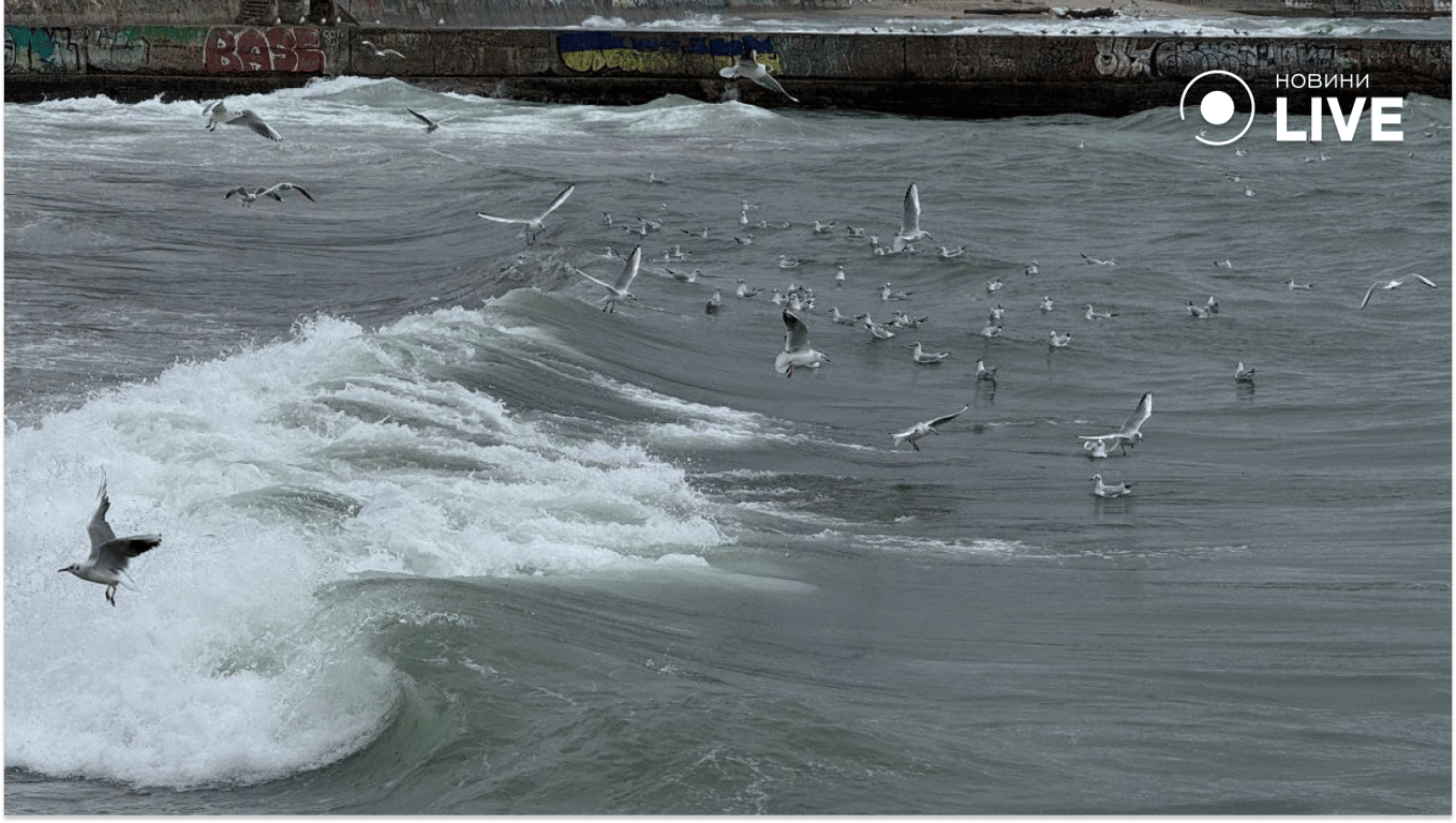 В Одесі пля пішов під воду