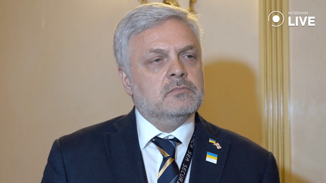 Звільнення Грузії залежить від перемоги України — що буде на Чорному морі - фото 5