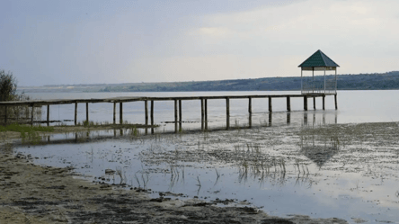 Обміління водойм на Одещині: під загрозою одне з найбільших озер України - 290x166