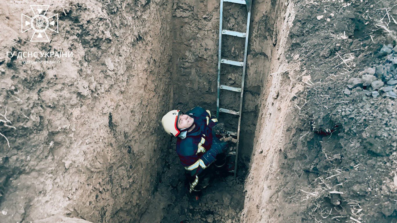 Одеські рятувальники дістали цуценя з під землі