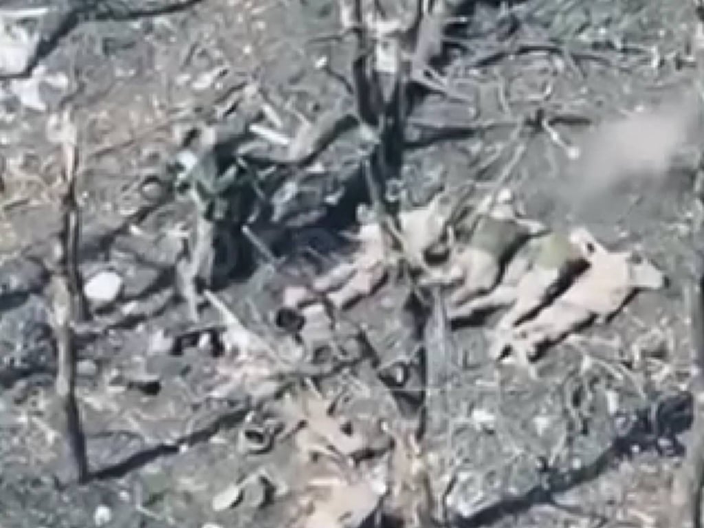 Розстріл українських полонених