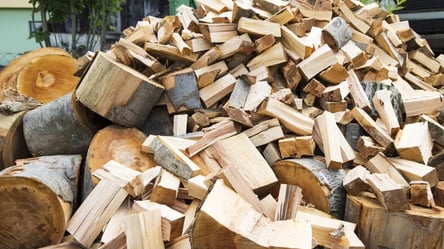 Підготовка до зими: скільки коштують дрова - 285x160
