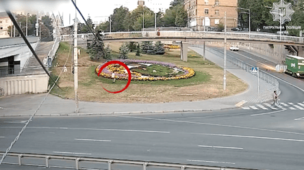 У Києві невідомі намагалися вкрасти рослини прямо з міського квітника - 285x160
